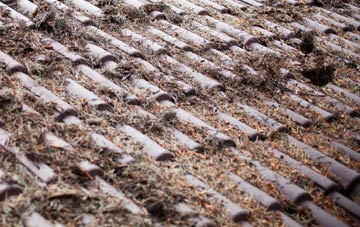 Hyde Park roof cleaning companies